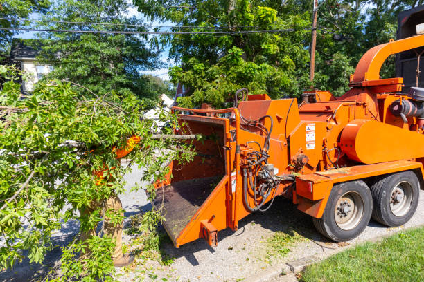 Best Emergency Storm Tree Removal  in Huntsville, TX